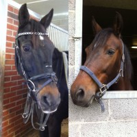 /album/fenykepgaleria/large-20-jpg/